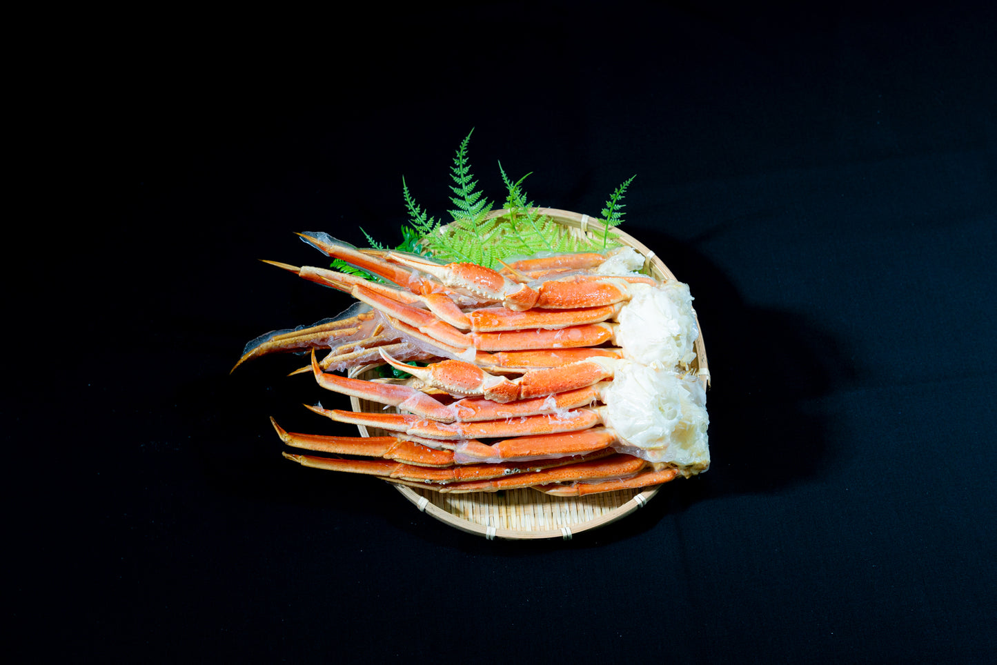 ズワイガニ 5Lサイズ (お届け予定日12/15〜12/31)