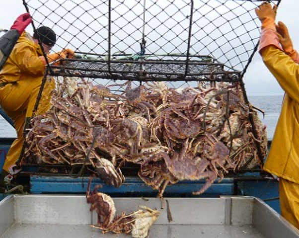 ストーリー画像2