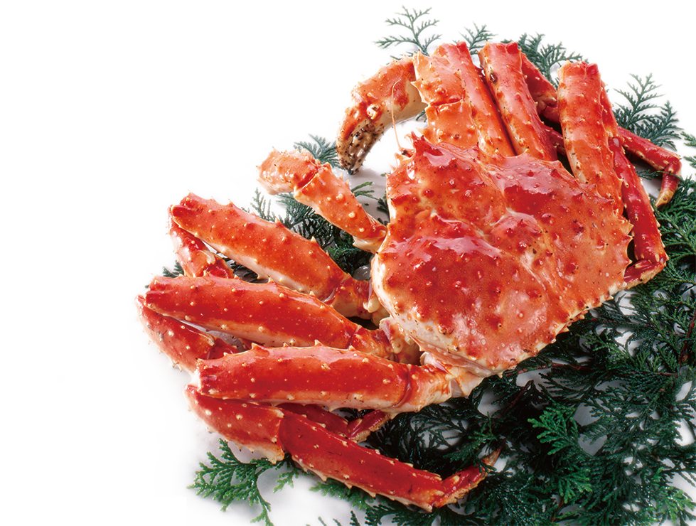 タラバガニ背景画像